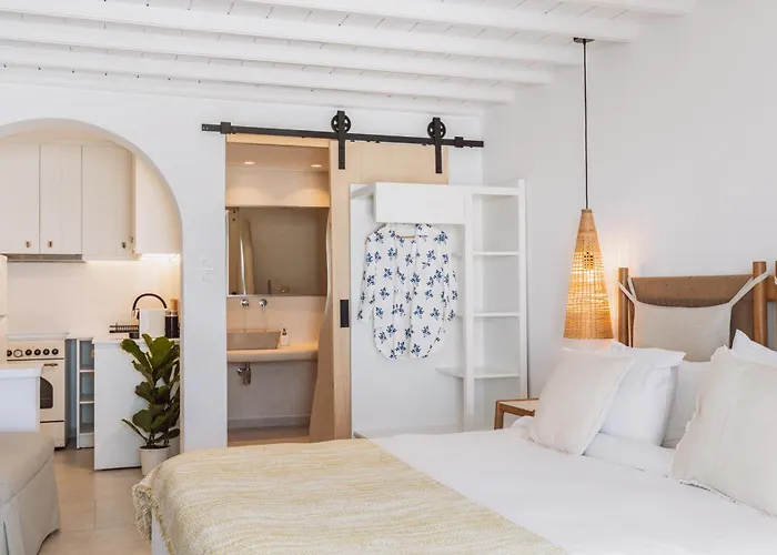 Mykonos Lagom Διαμέρισμα Mykonos Town